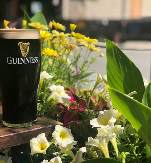 Guinness 1